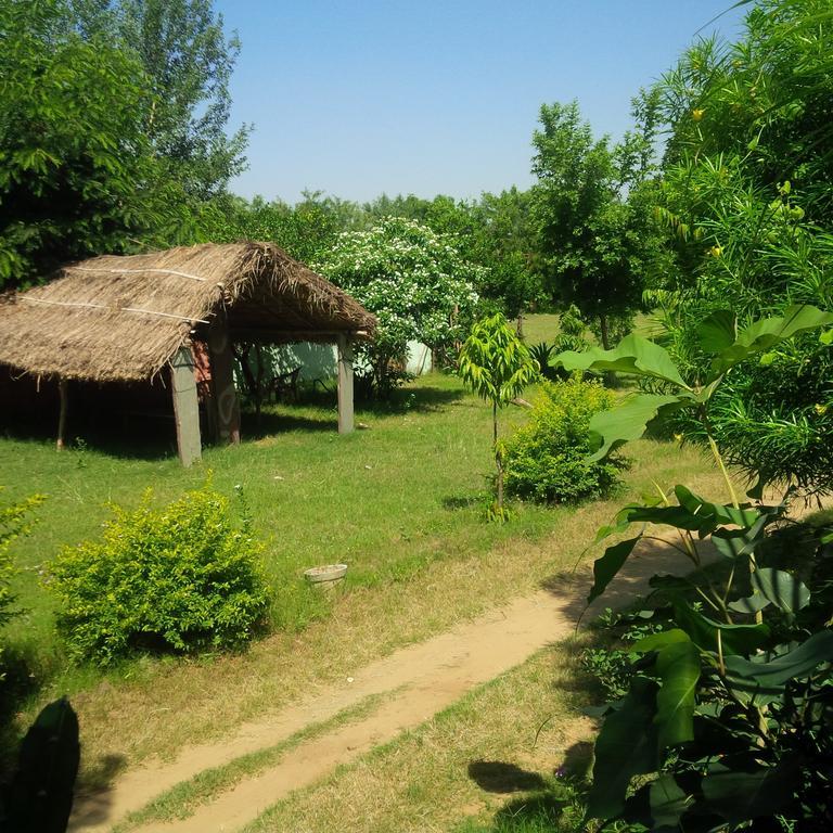 Adb Rooms Amer Resort Ranthambore Eksteriør bilde